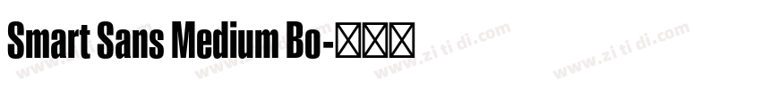 Smart Sans Medium Bo字体转换 Smart Sans Medium Bo字体转换